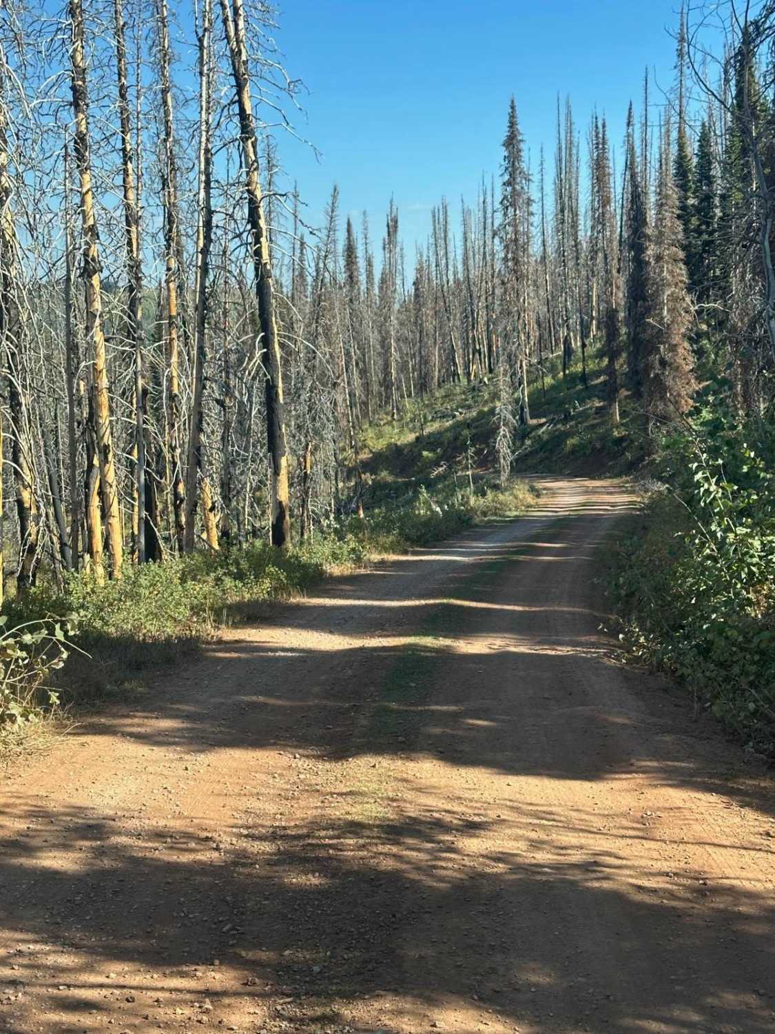 Elk Valley