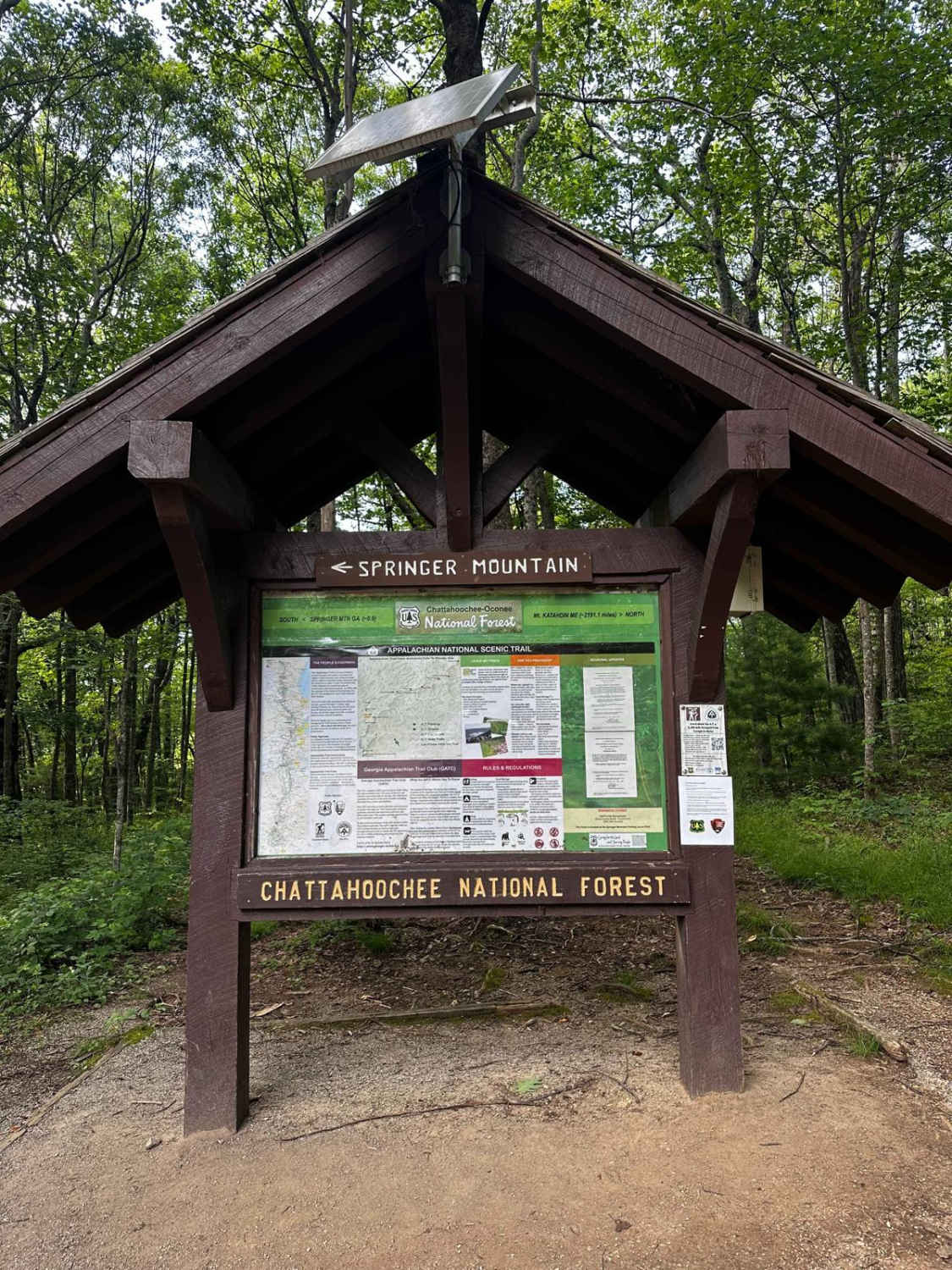 Springer Mountain Trail