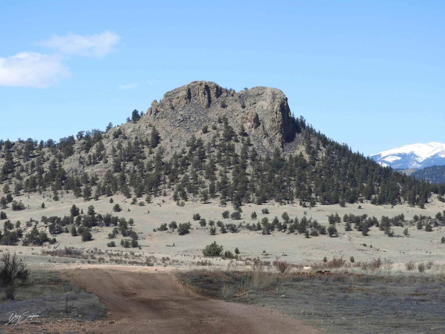 Eagle Rock Road Forest Road 146