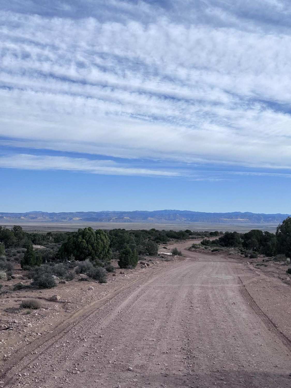 CR137
