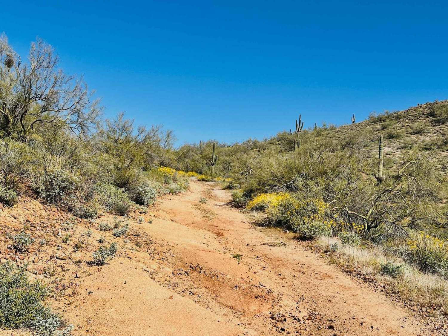 Jimmie Wash Access Trail