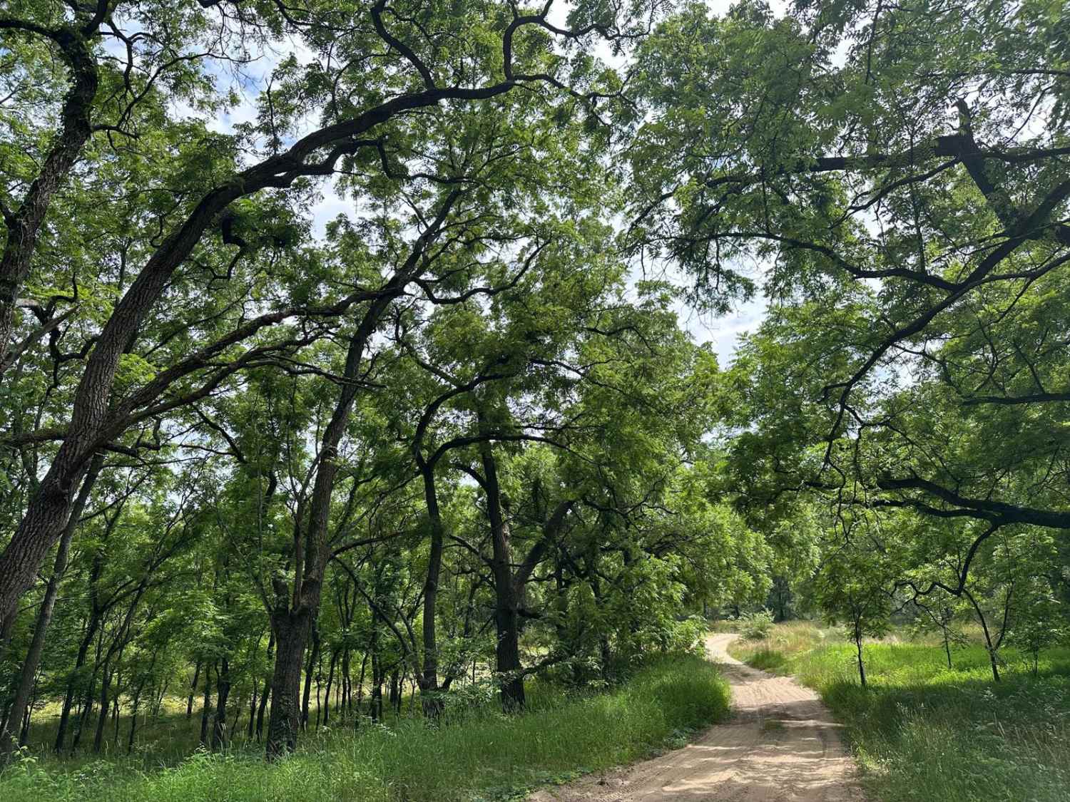 Langston Trail
