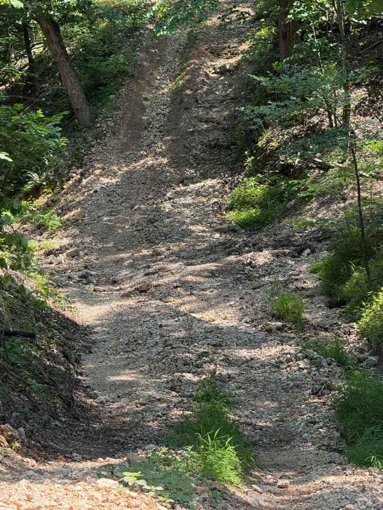 Abby's Trail 