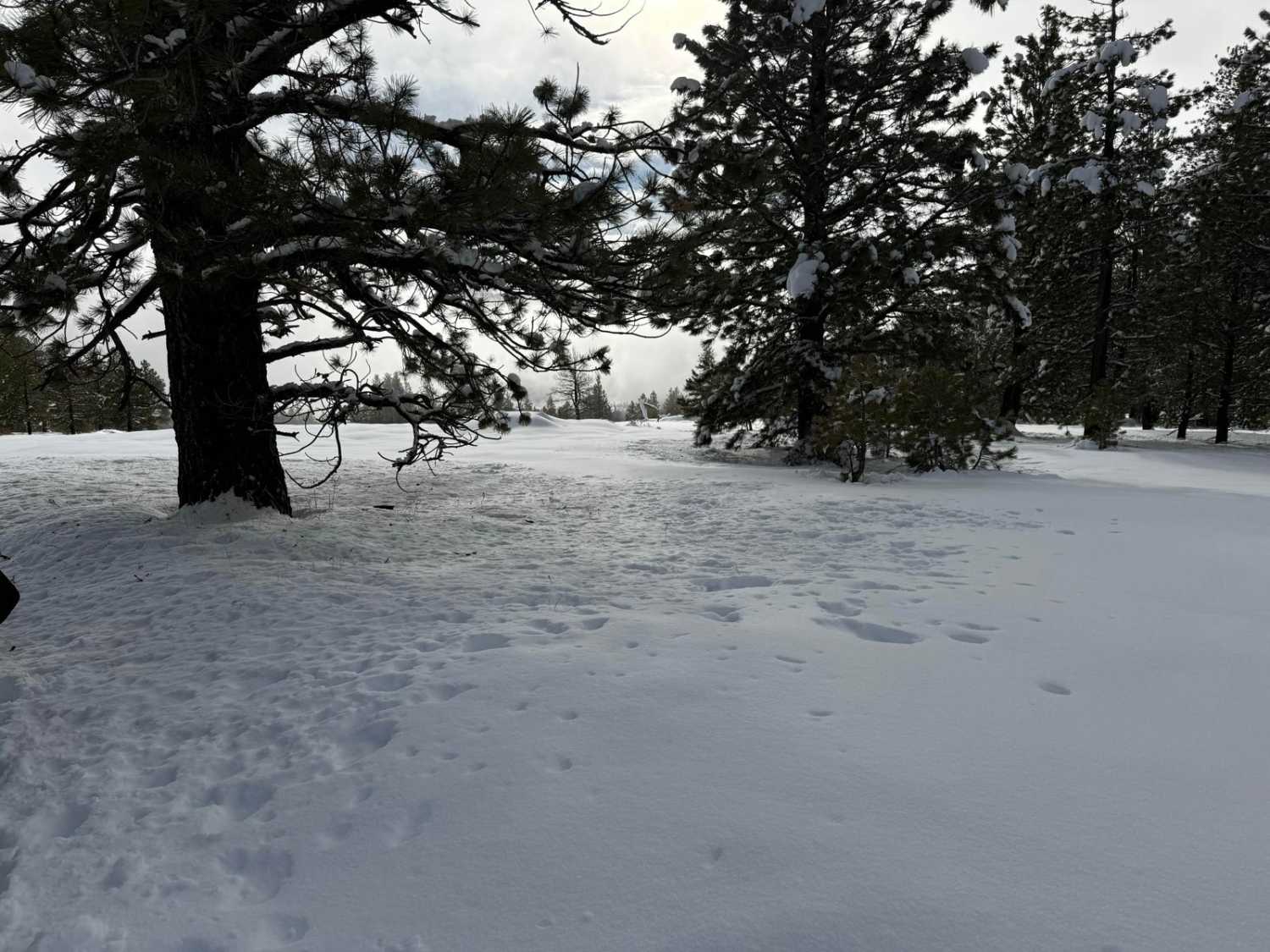 Veterans Trail