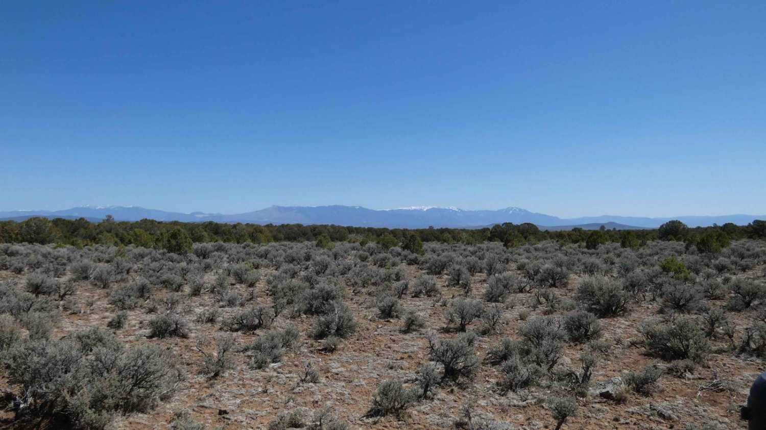 Red Mesa FSR-578