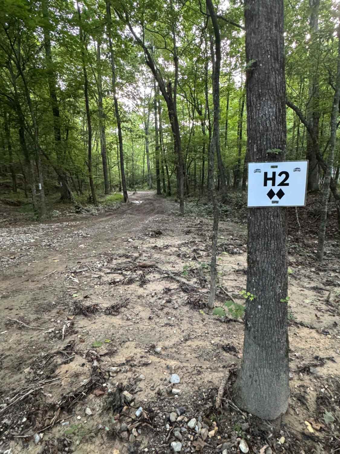 H2
