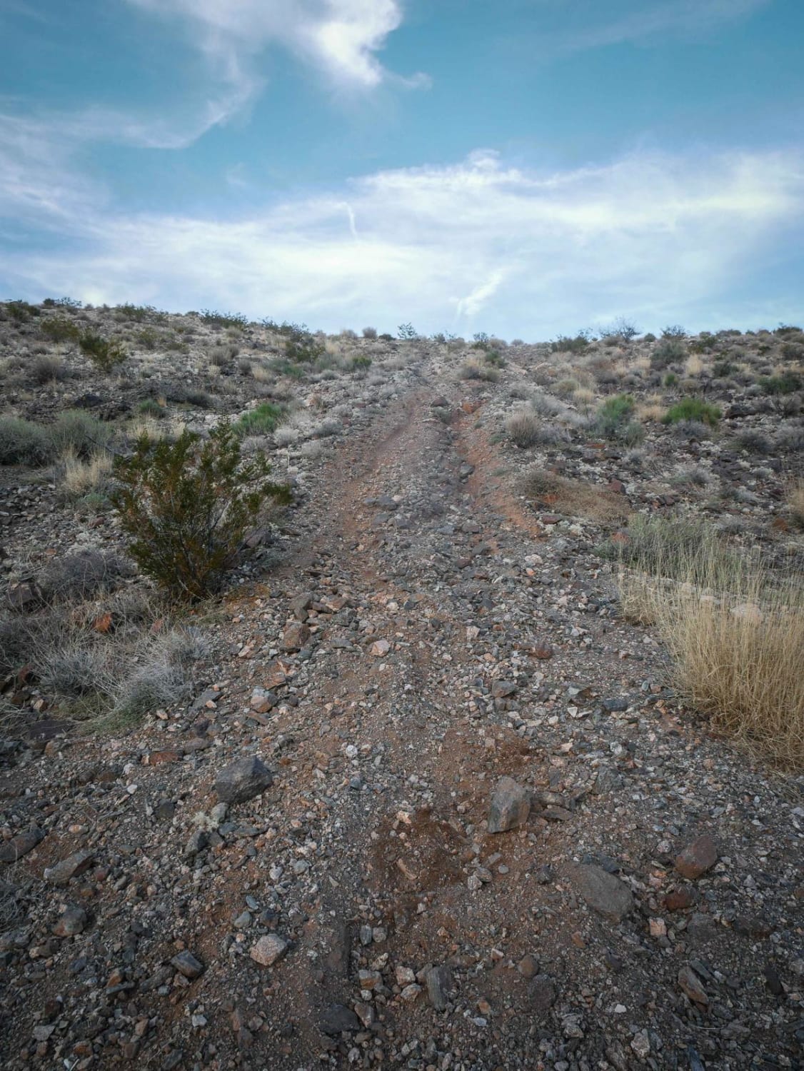 Rock Ridge Single Track 