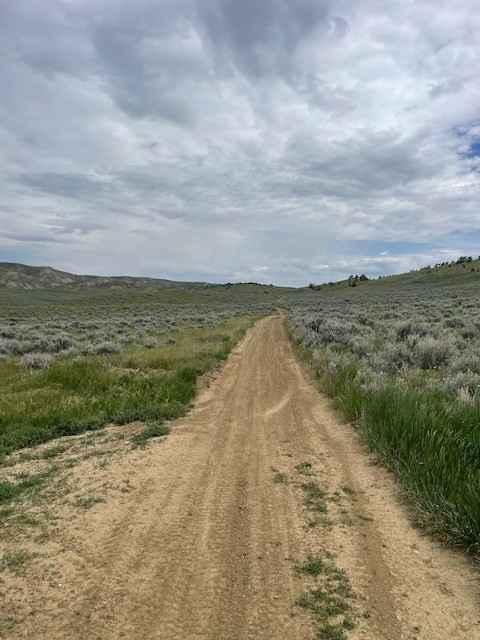 East Basin Road CW 2078