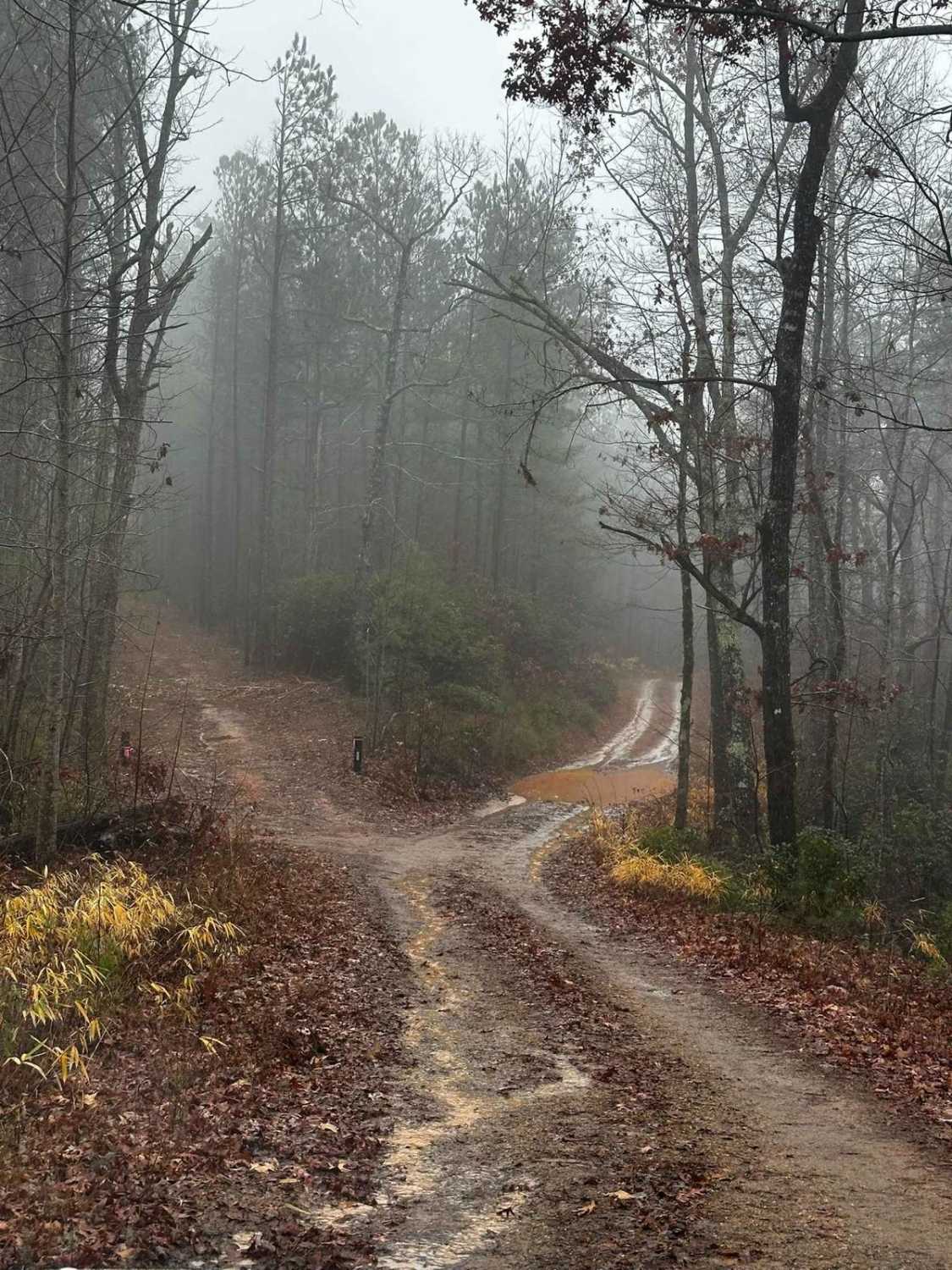 Honey Stand Road - FSR 184
