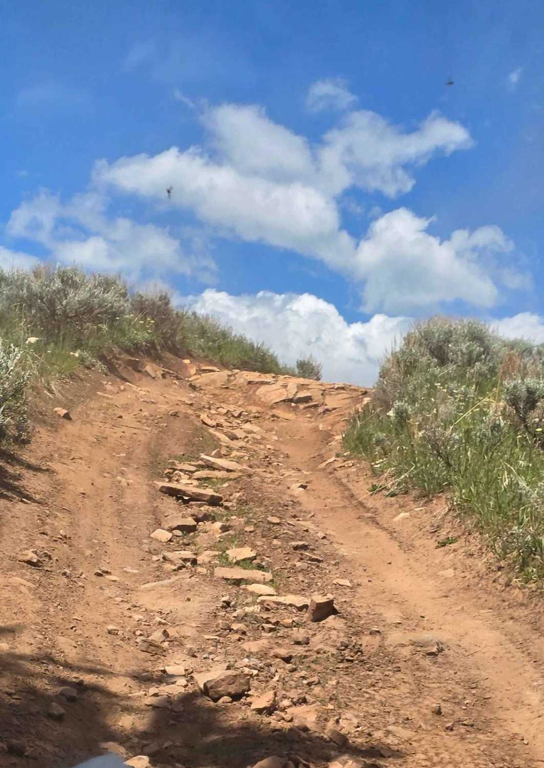 Sunlight Mesa (FSR207)