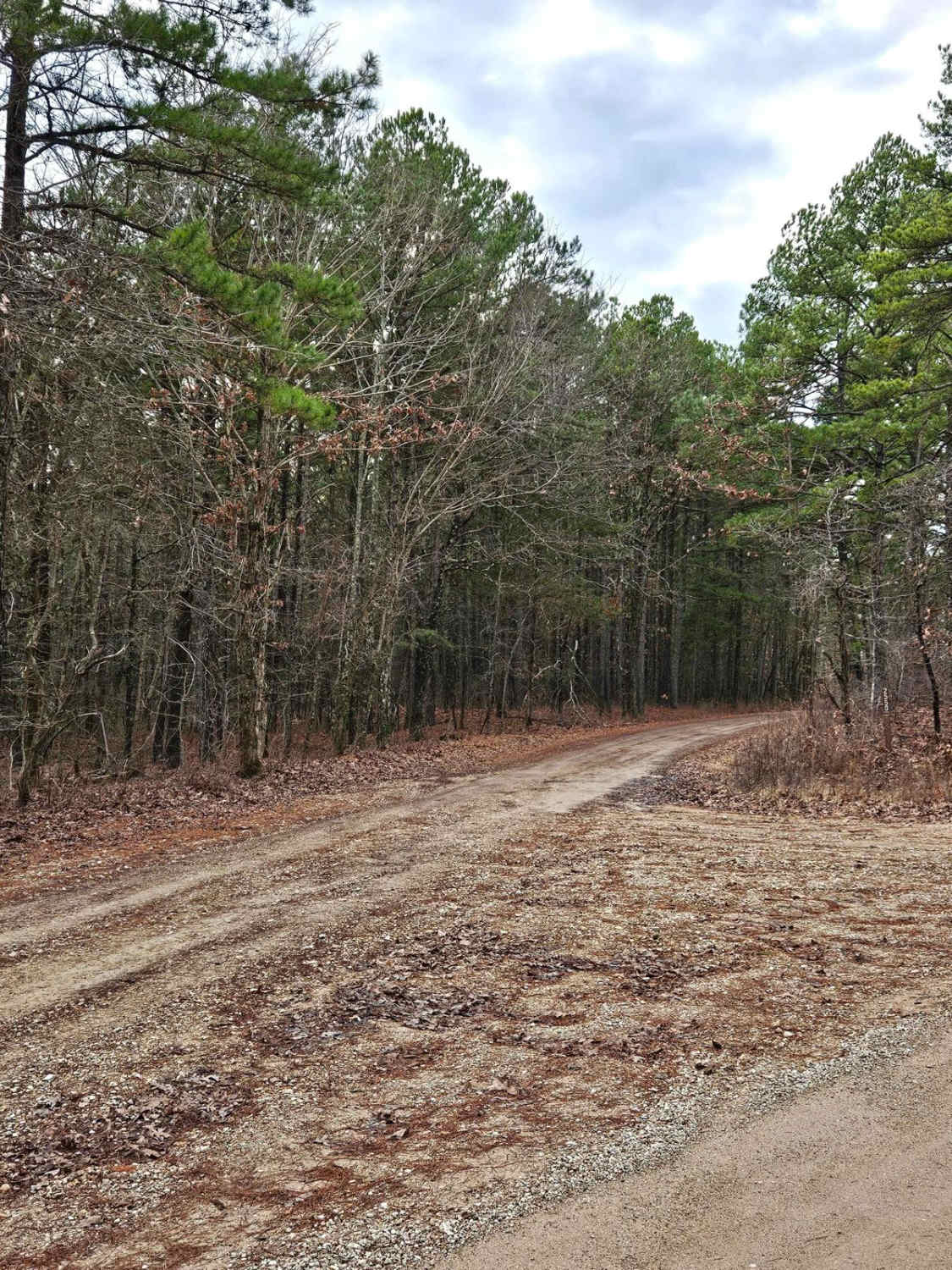 Stringtown Branch - FSR 2550
