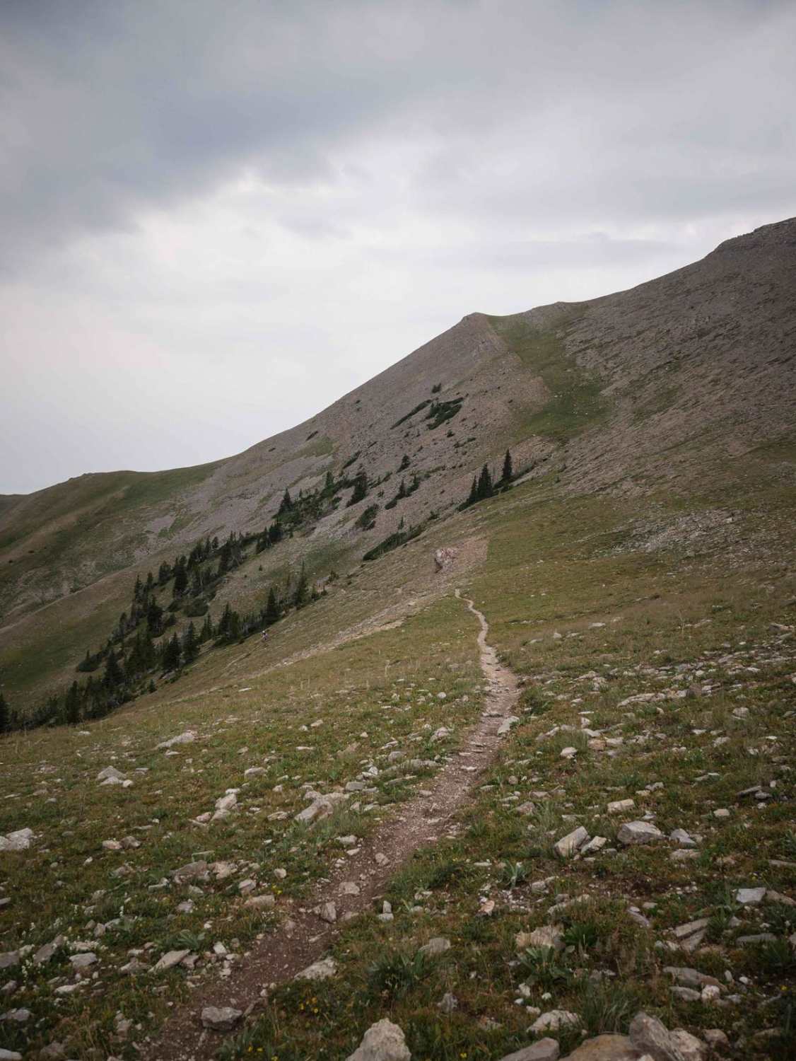 Corbly Gulch 