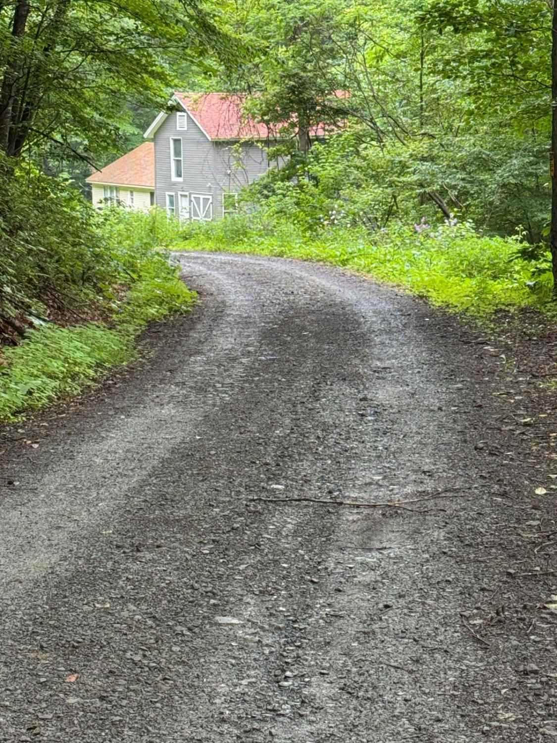Hoolihan Brook Rd