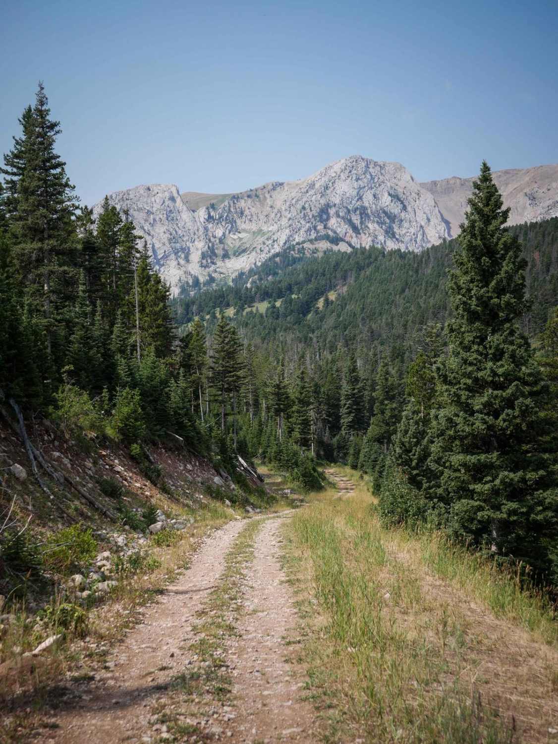 Carrol Creek