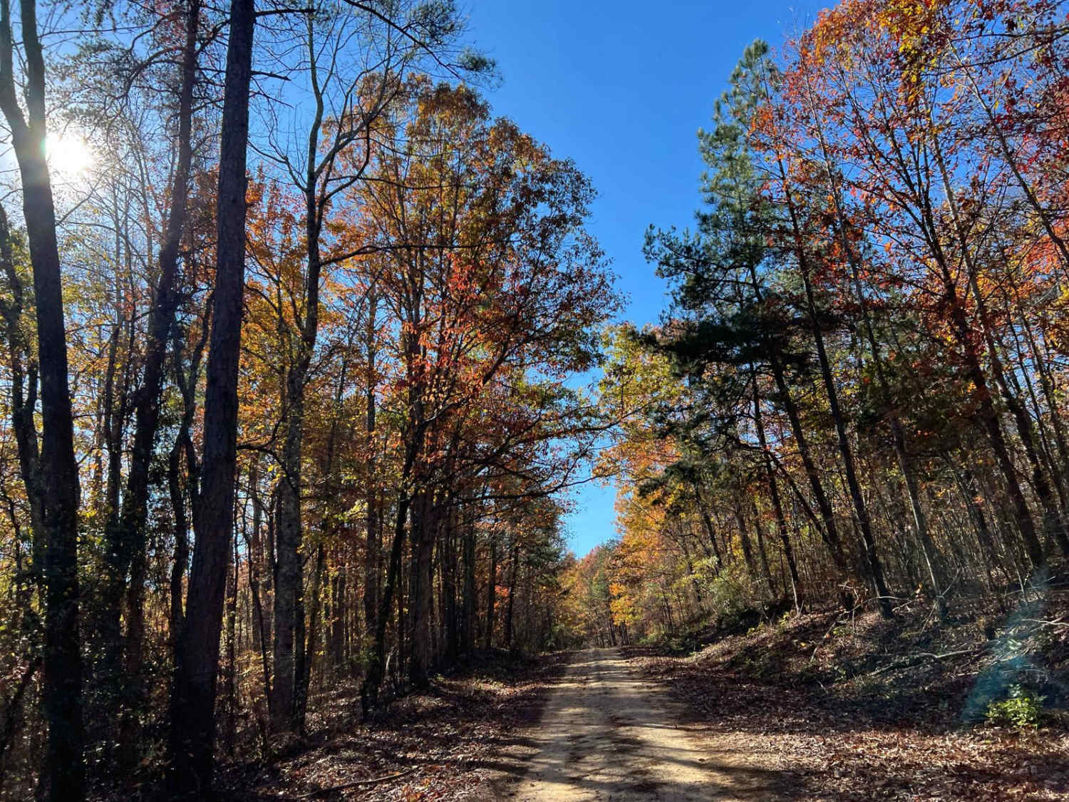 Braziel Creek Road - FS 223 