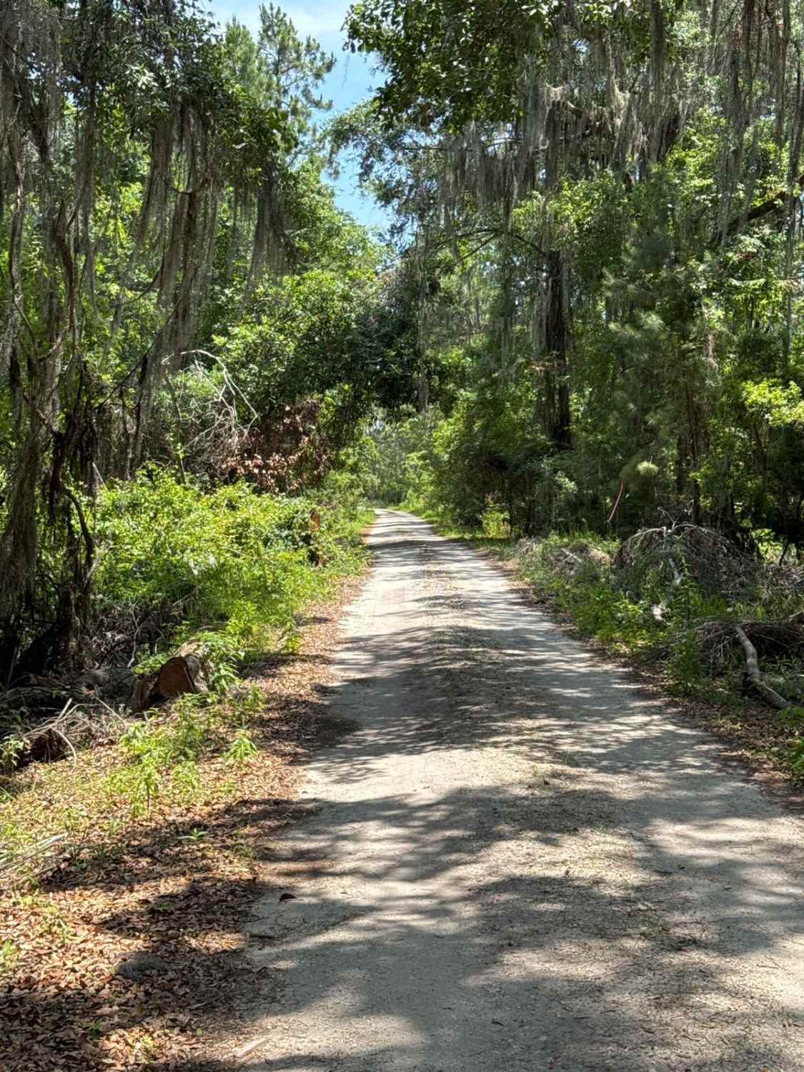 Black Point - Ceylon WMA