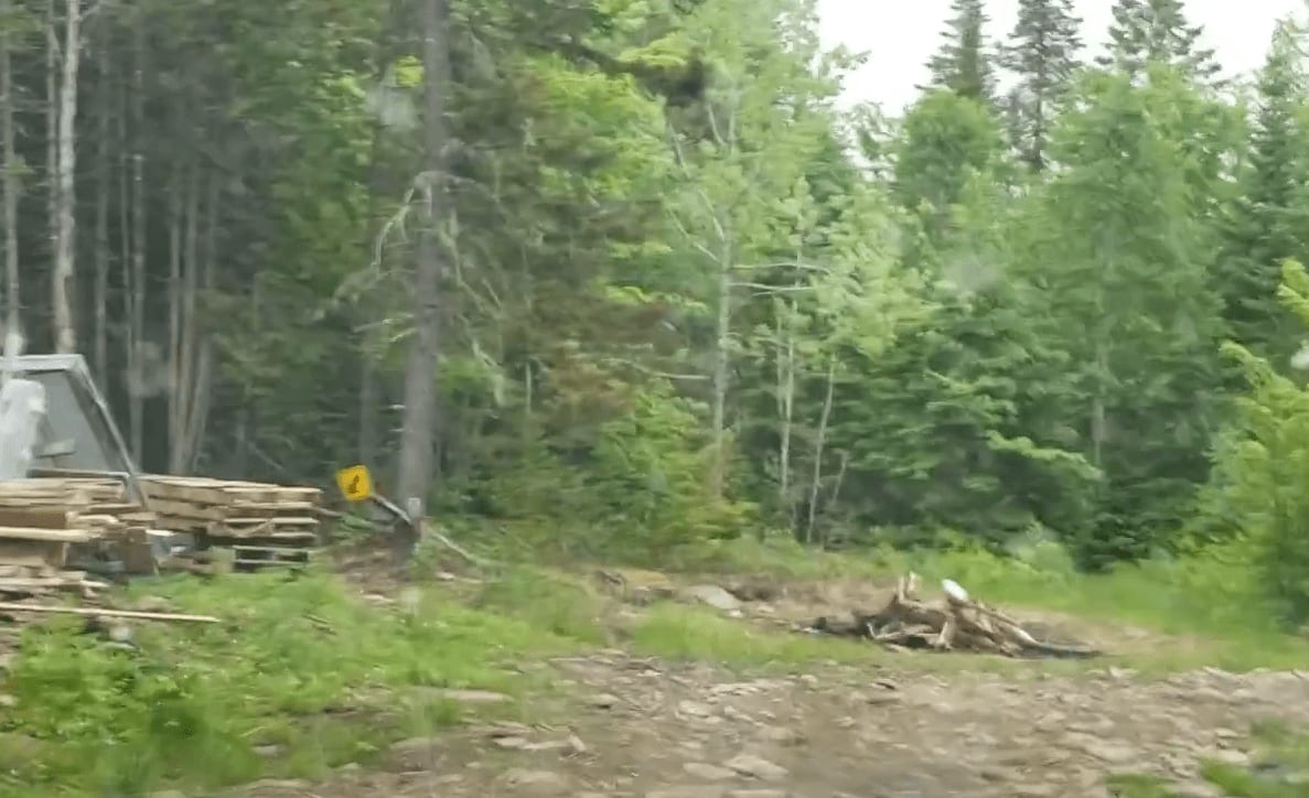 Peckerwood Spur