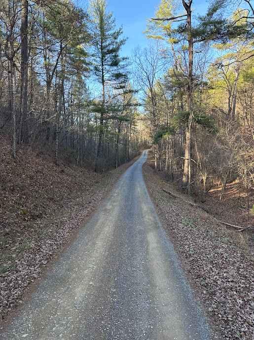 Cold Springs - FR 77