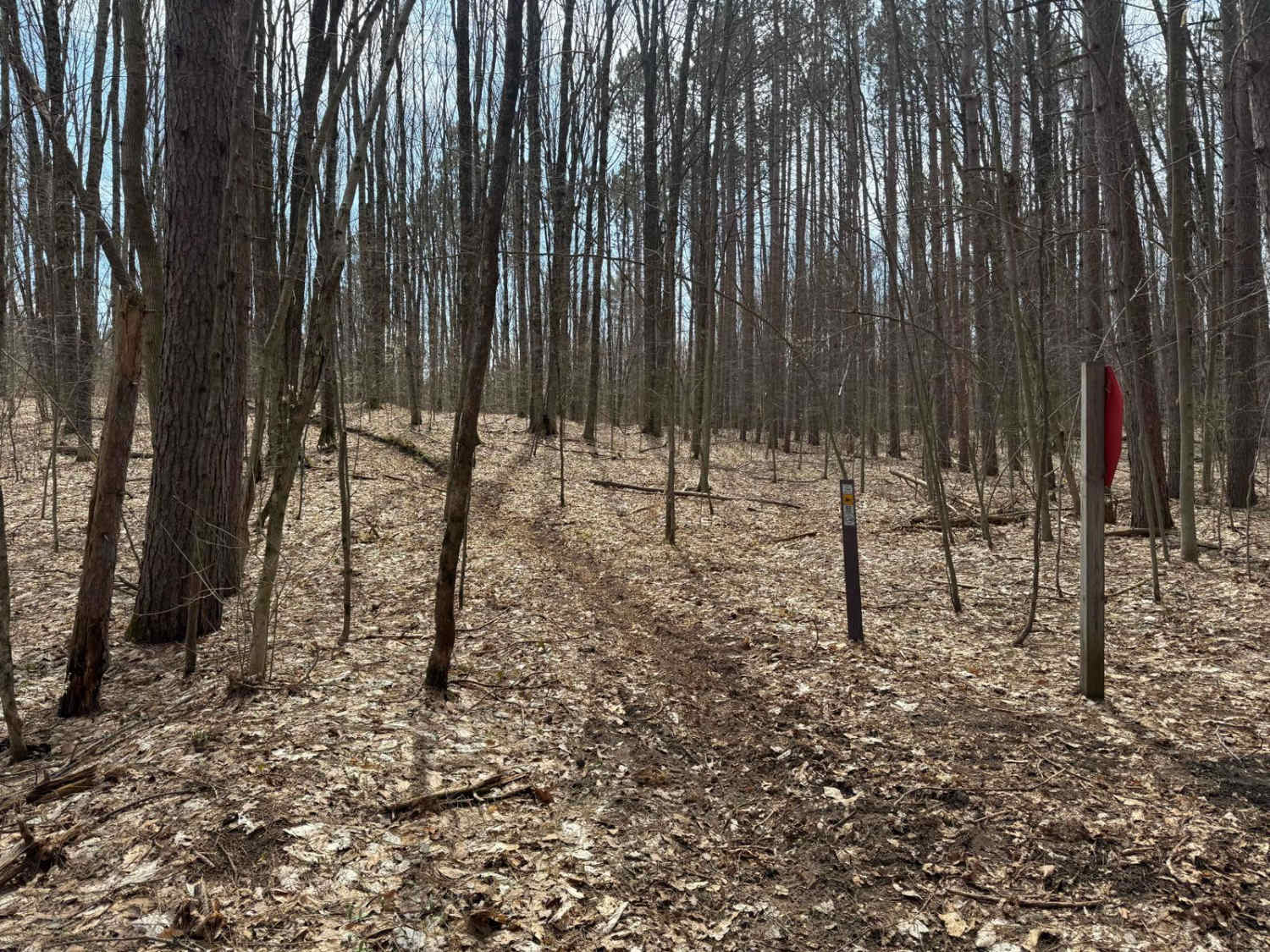 MCCCT - Lincoln Hills to Caberfae Spur