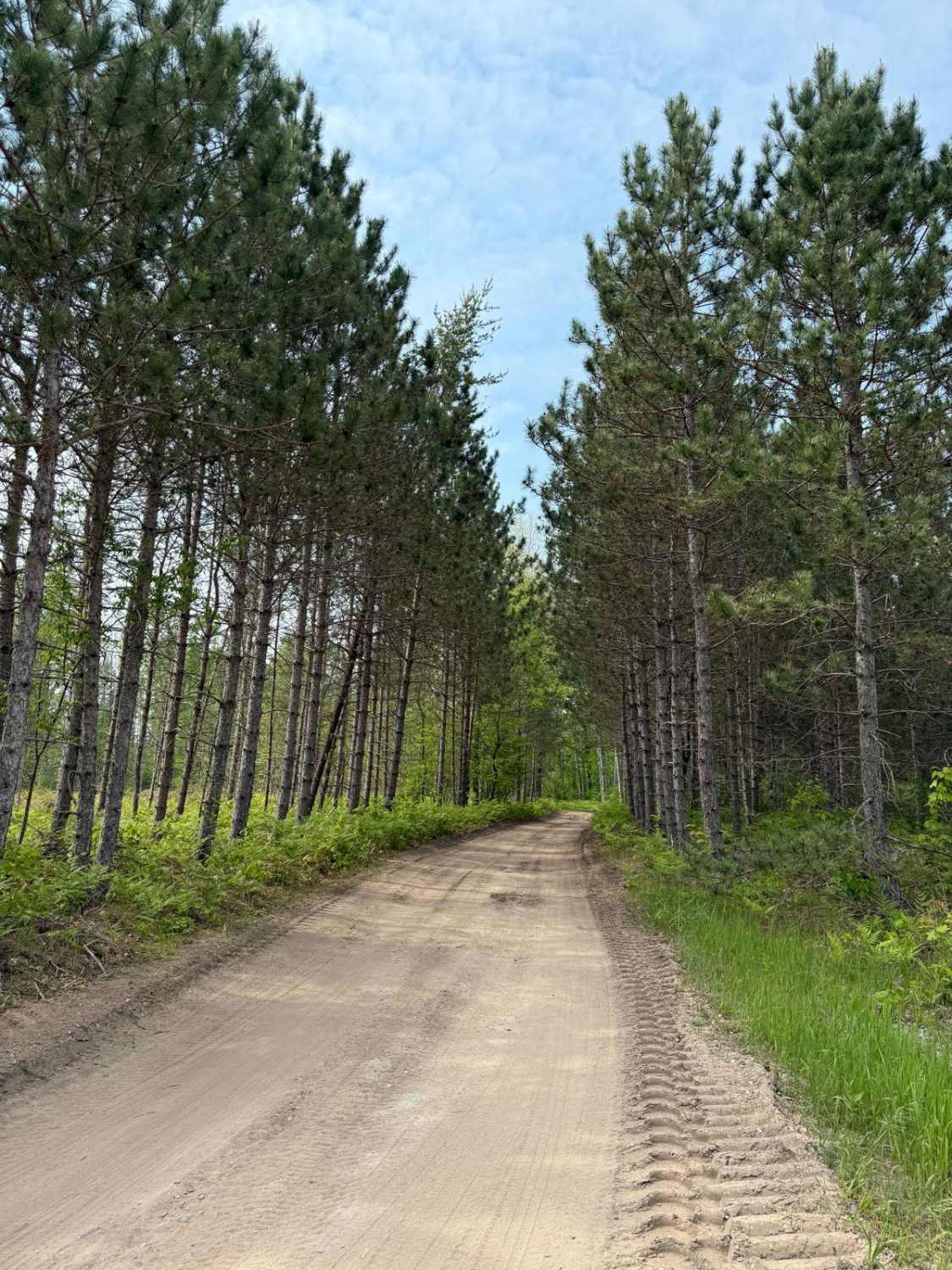 Manistee RXR River Trail