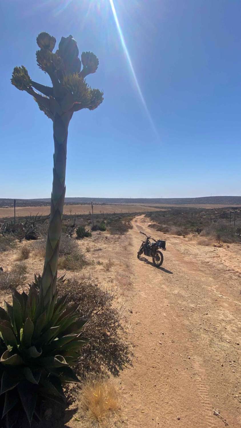 East of San Quintin
