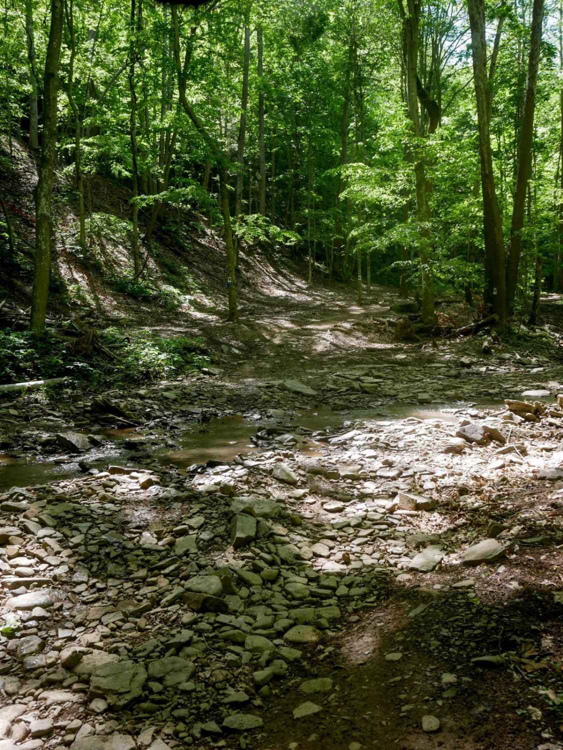 Trail 23 Sawmill Run