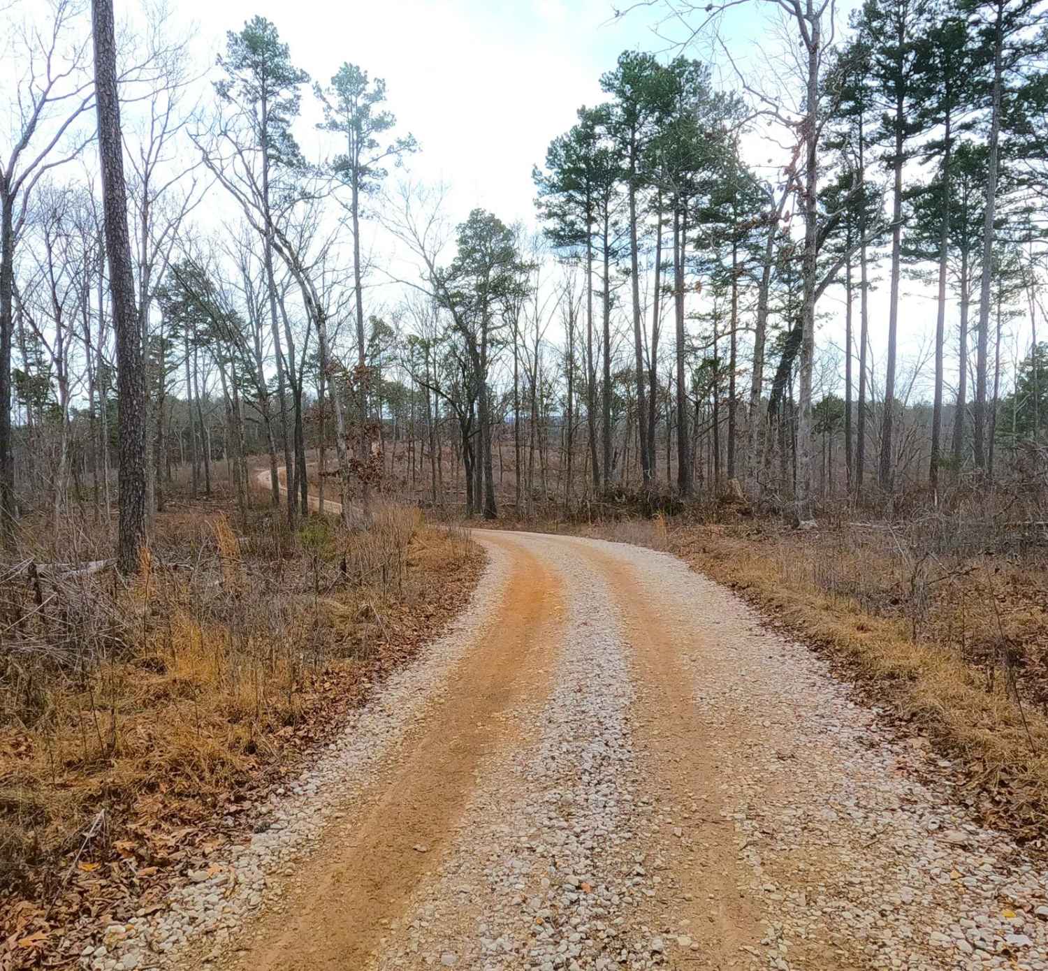 Snapps Hollow - FS 2698