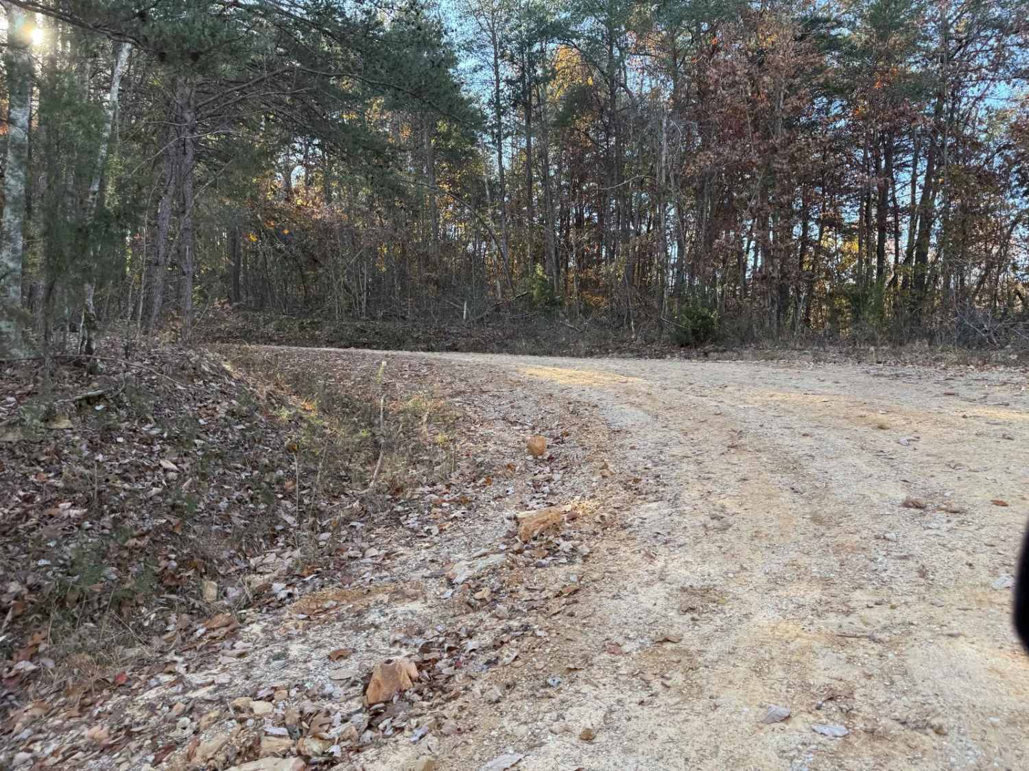 County Road 90 - FS 259