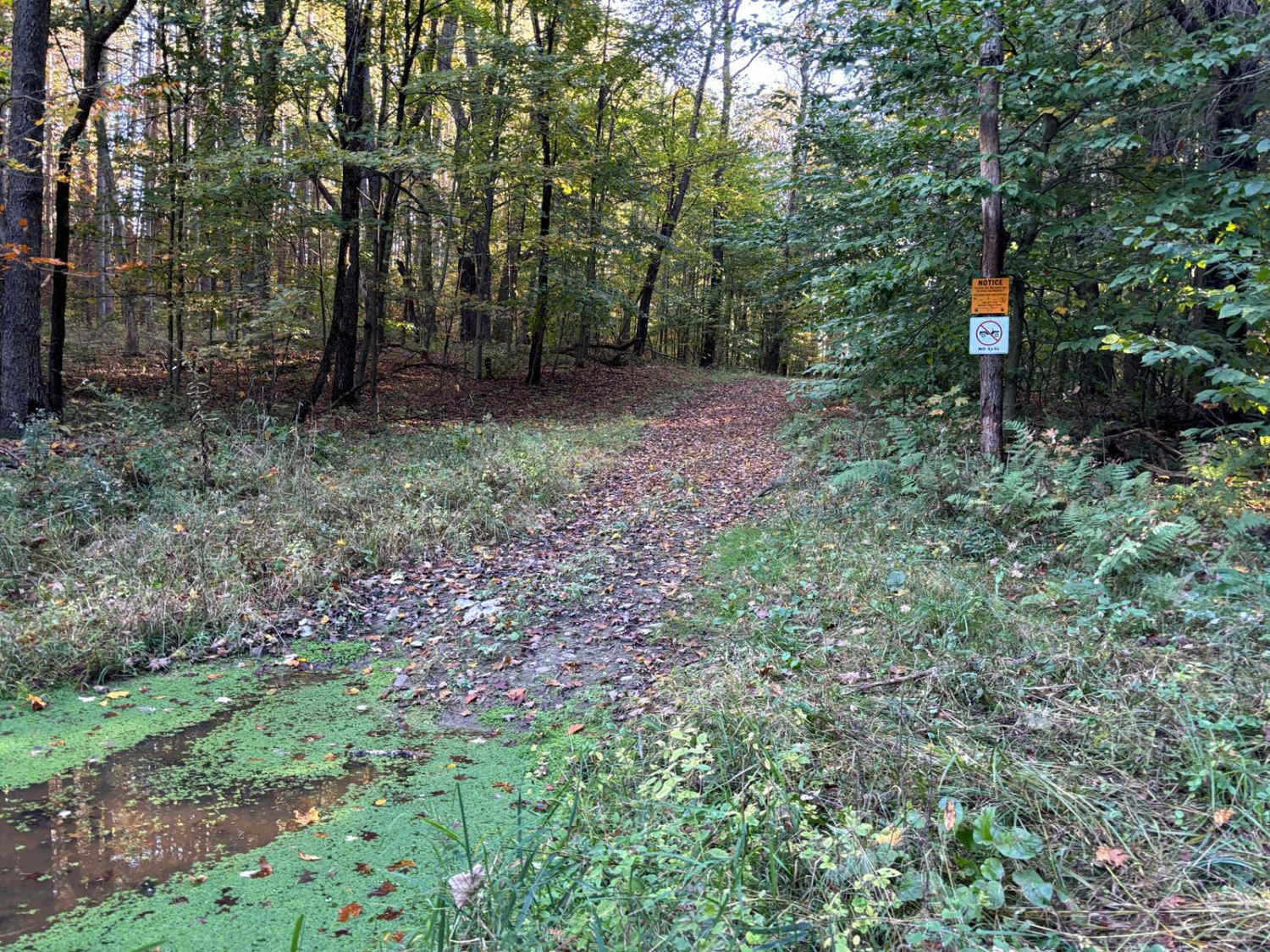 Cuyler Hill PFAR