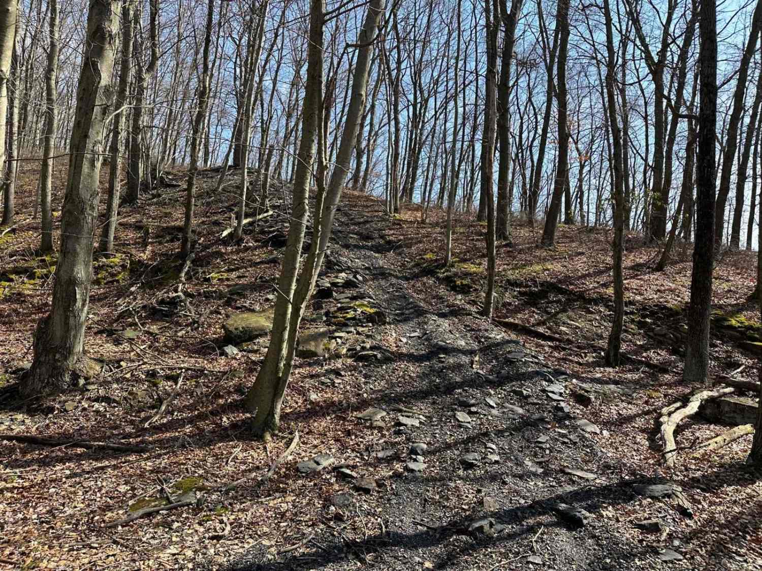 Ashland RORR Single Track - B
