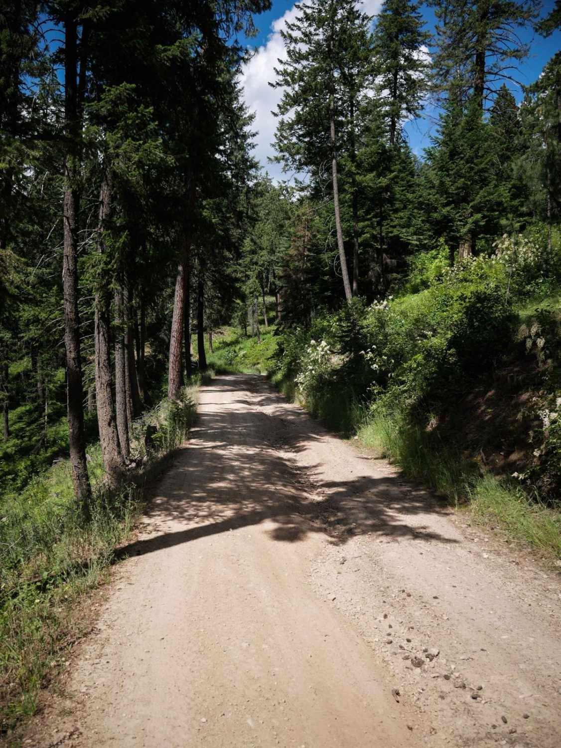 Canfield OHV 