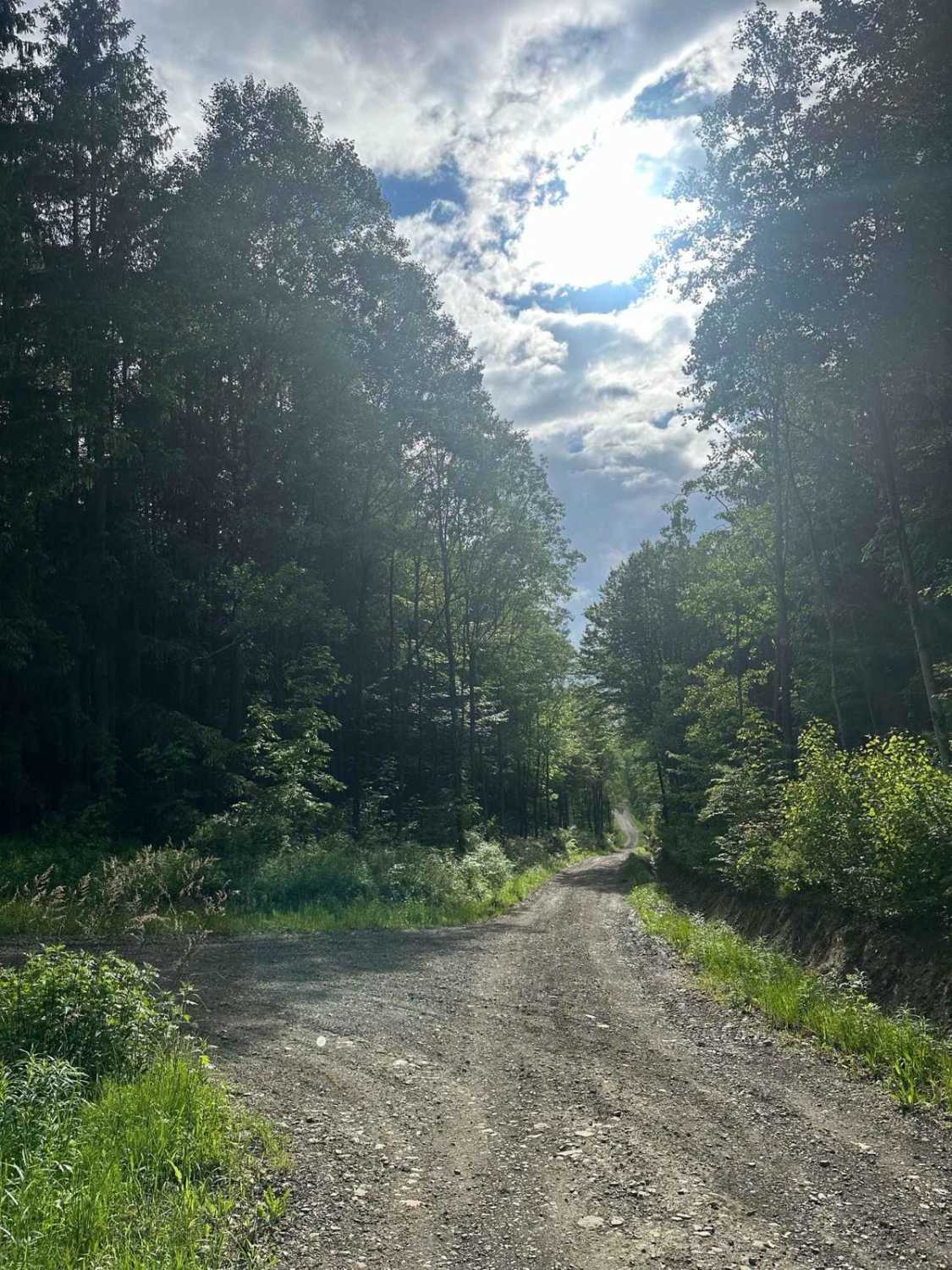 Hungry Hollow Road (Seasonal Section)