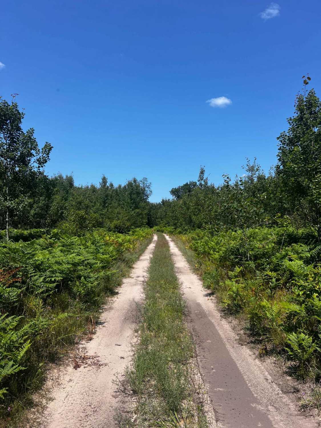 River Camp Trail