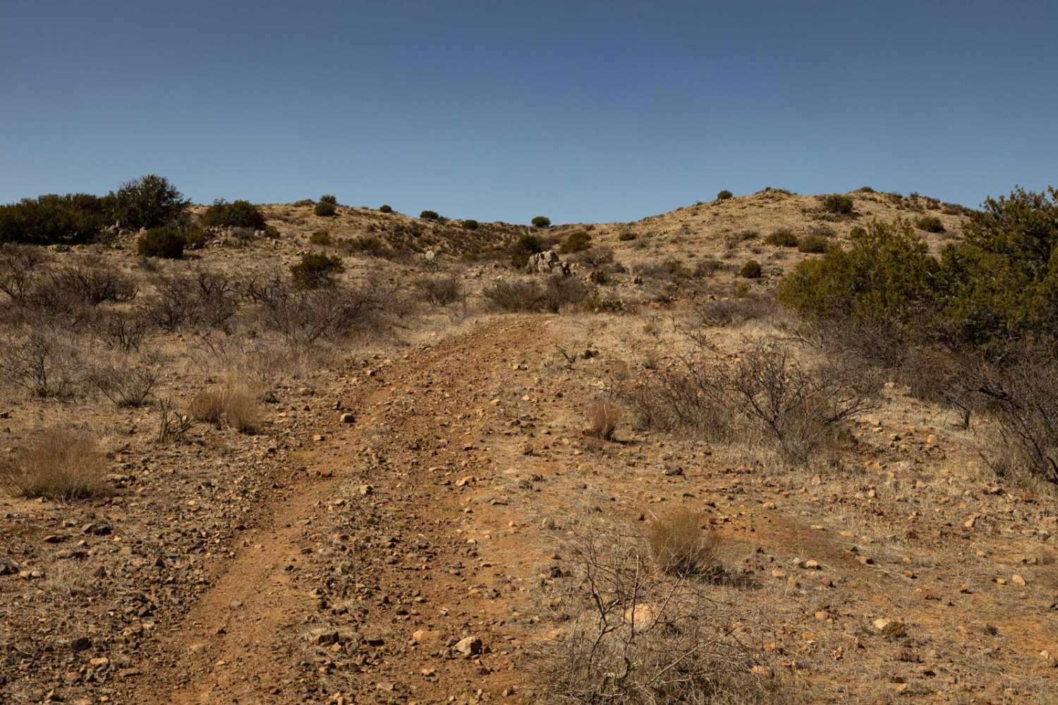 Sheep Gulch