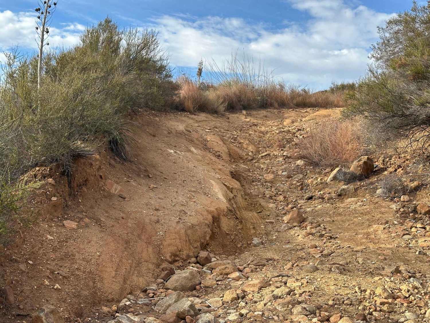 Patton Lode Mine