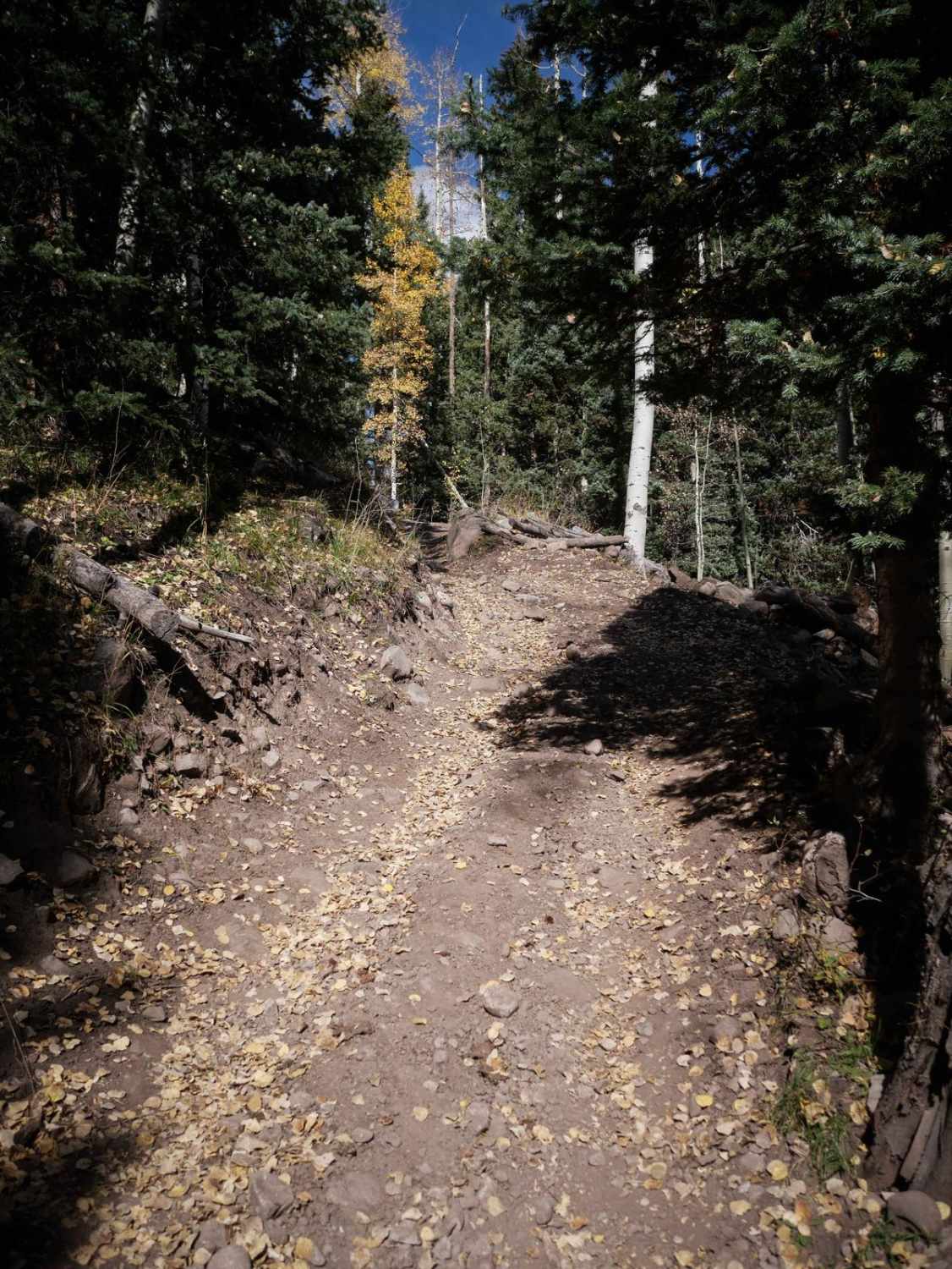 West Fork ATV