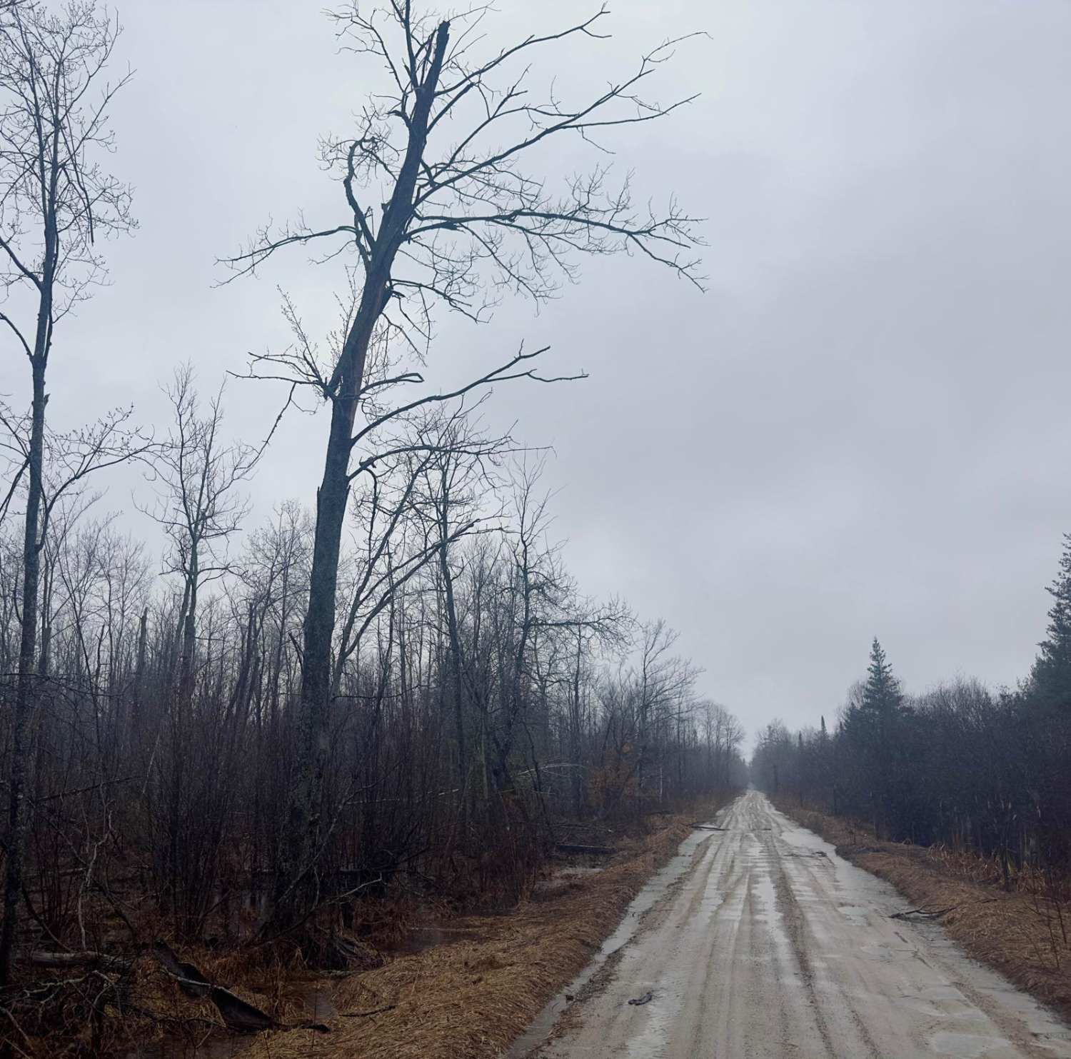 Cedar Creek Rd