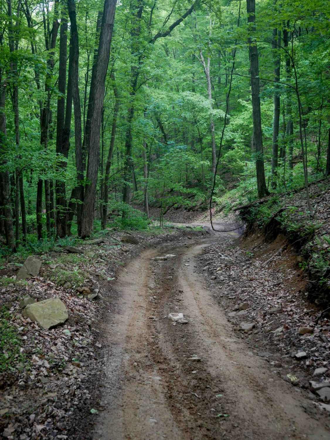 Trail 16