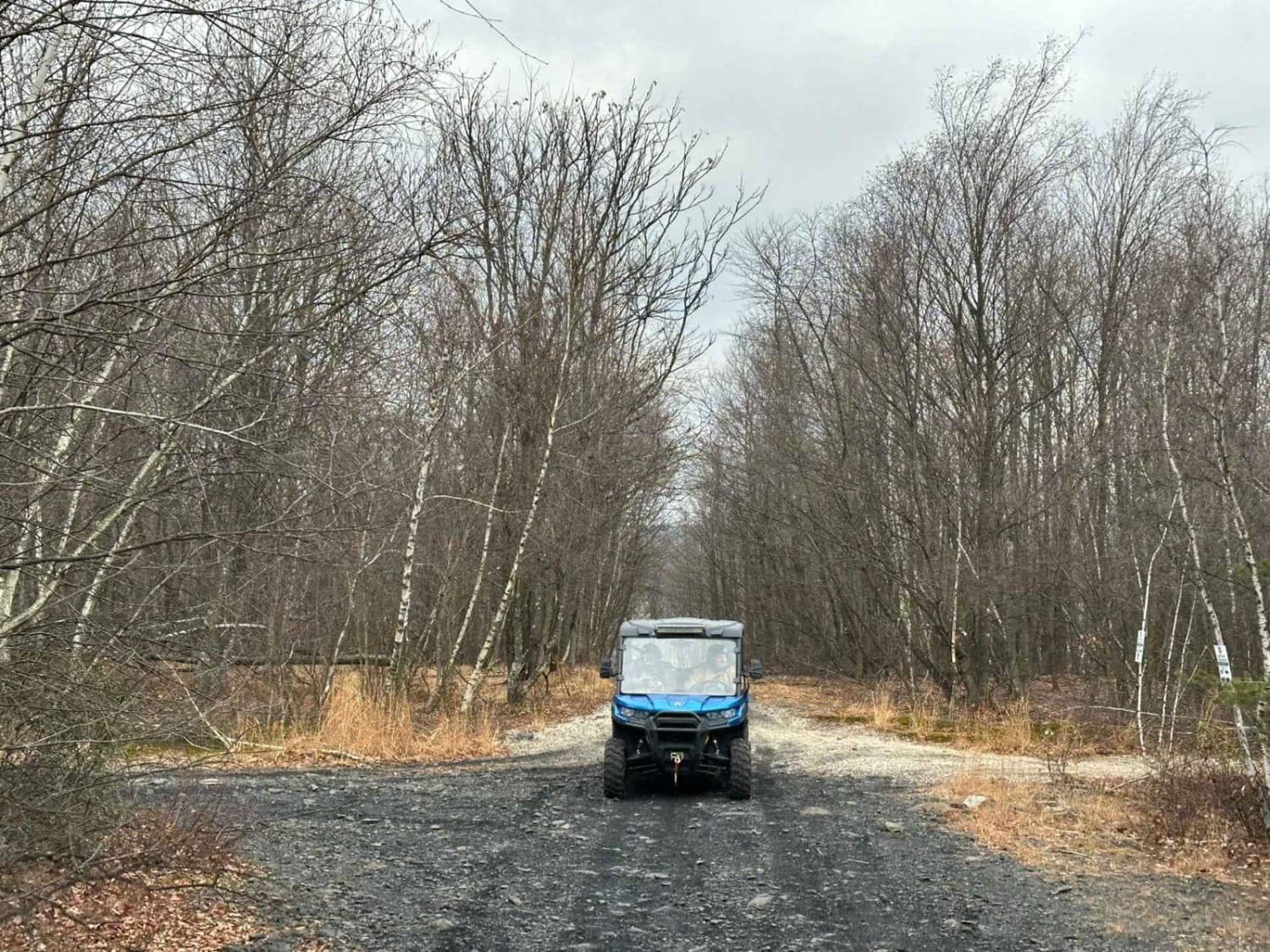 Locust Gap 63