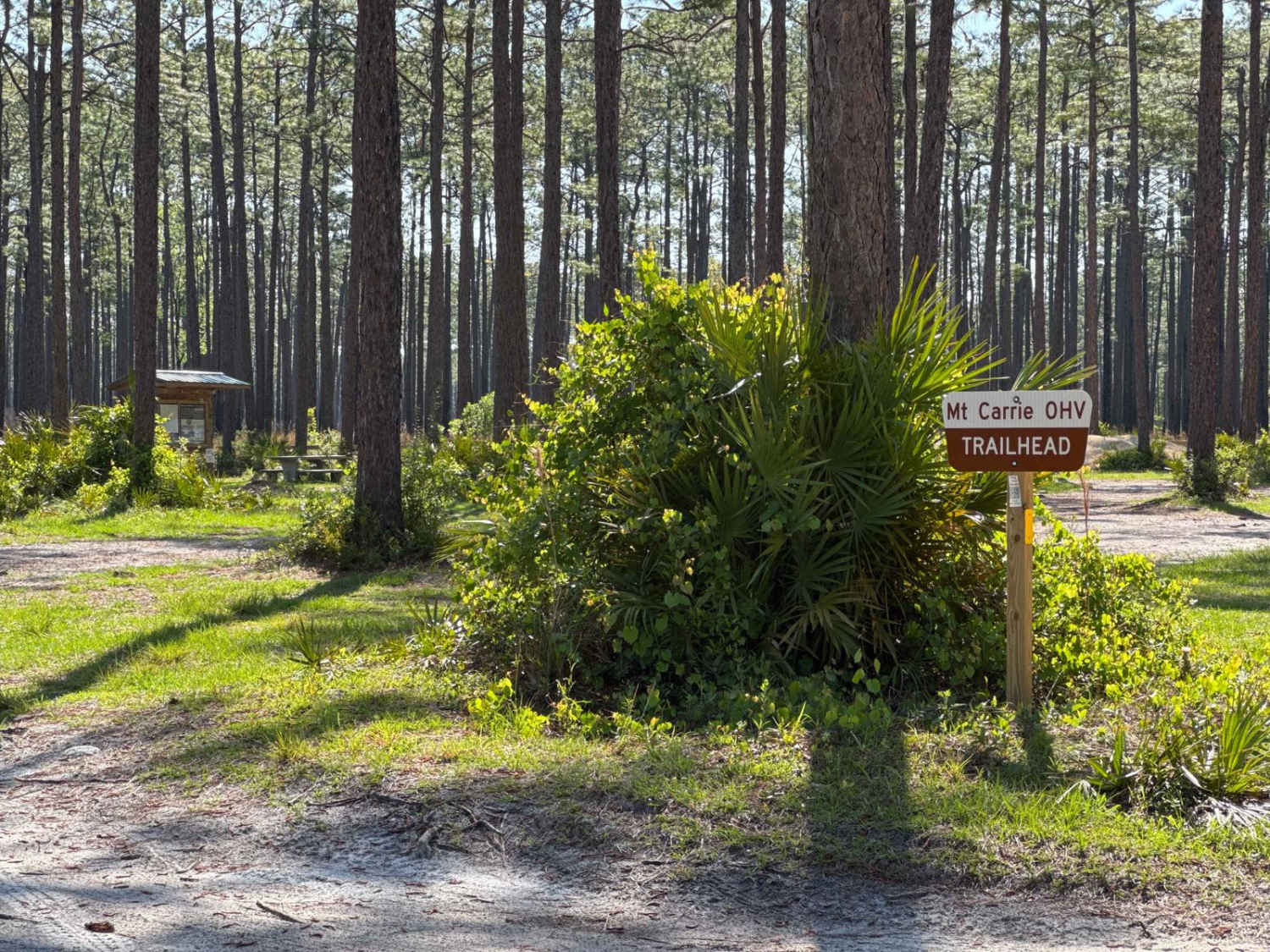 Coleman - Osceola NF 215