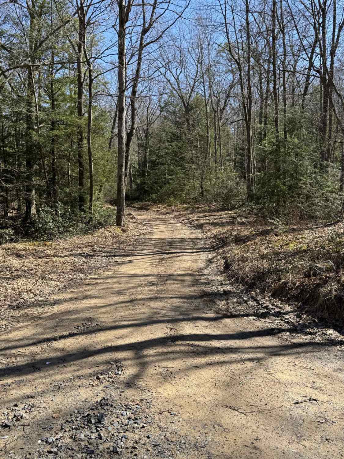 Boggs Ridge Road