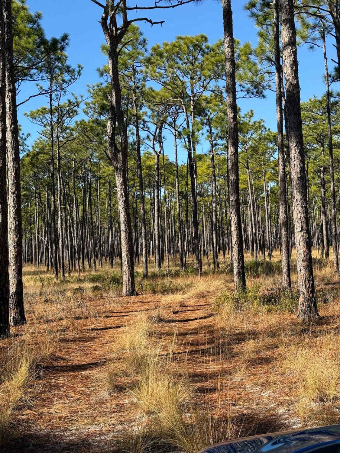 Pettiford Creek Trail 6