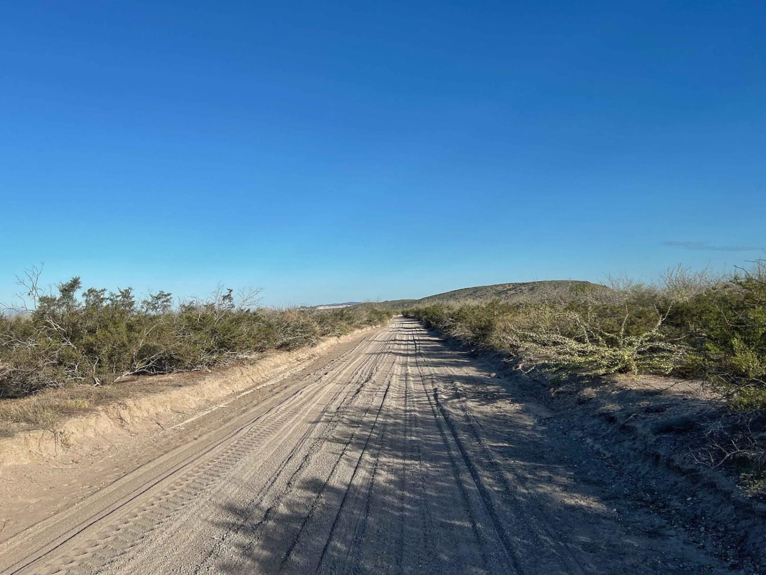 Palo Verde Beach