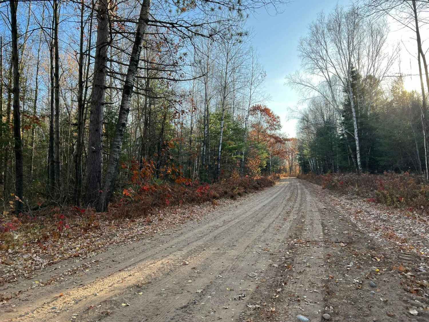 Pembine South Loop 16E/W