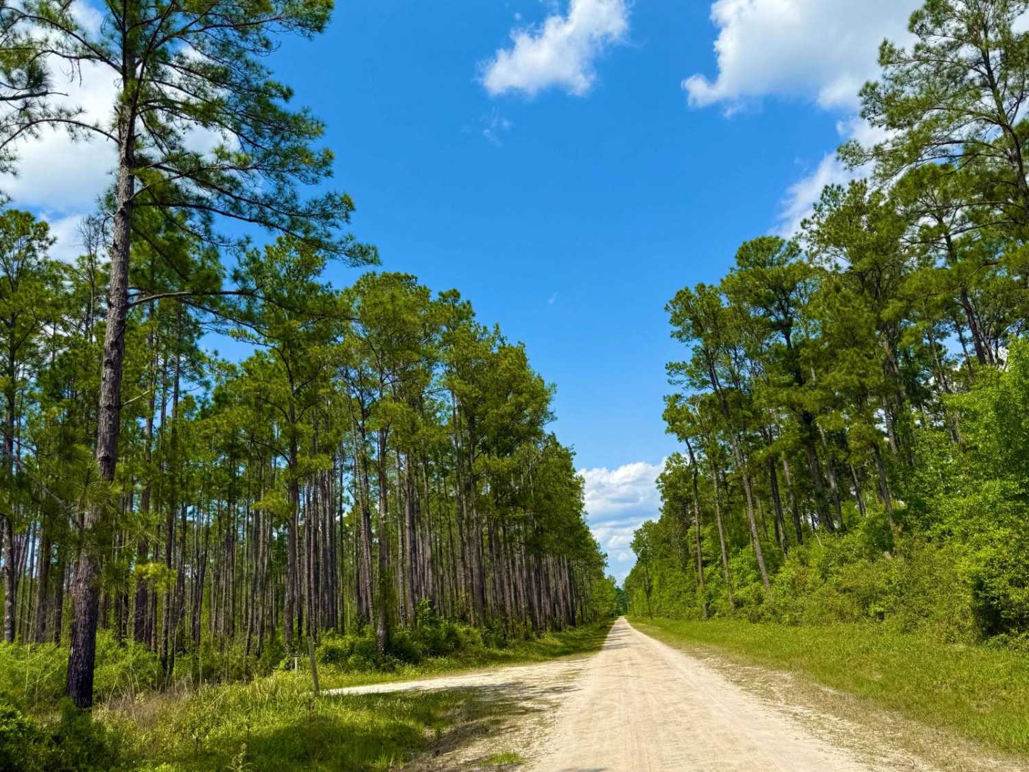 Sandy Beach Road