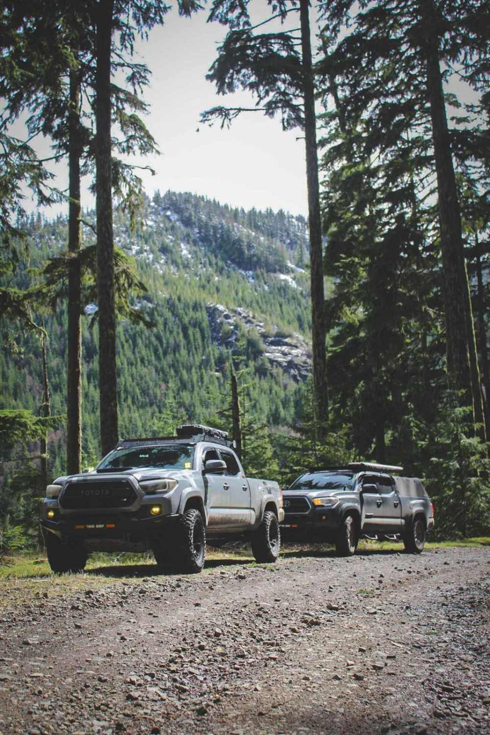 Stahl Mountain Trail