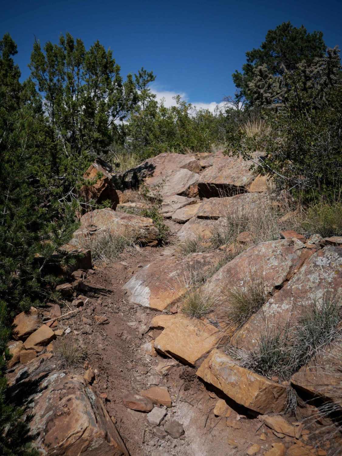 The Ridge - Penrose Commons Recreation Area