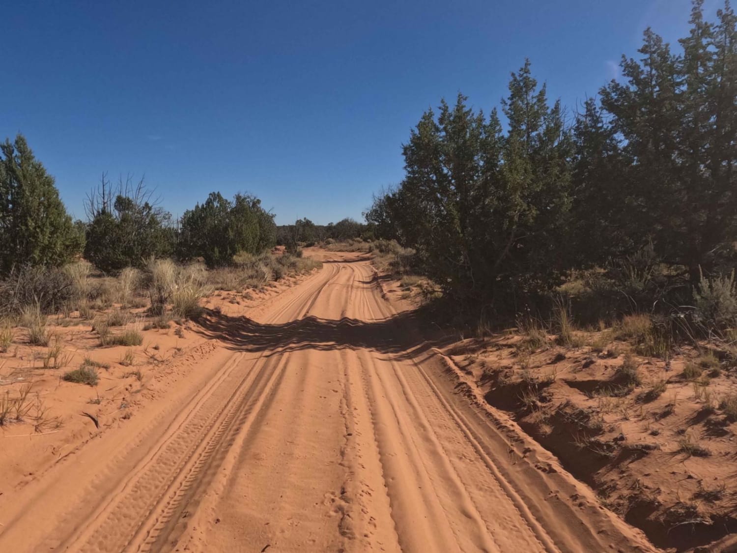 Red Pockets Road & Poverty Cabin (1081)
