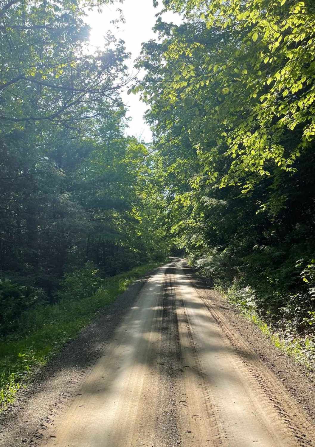 Cherry Run Road