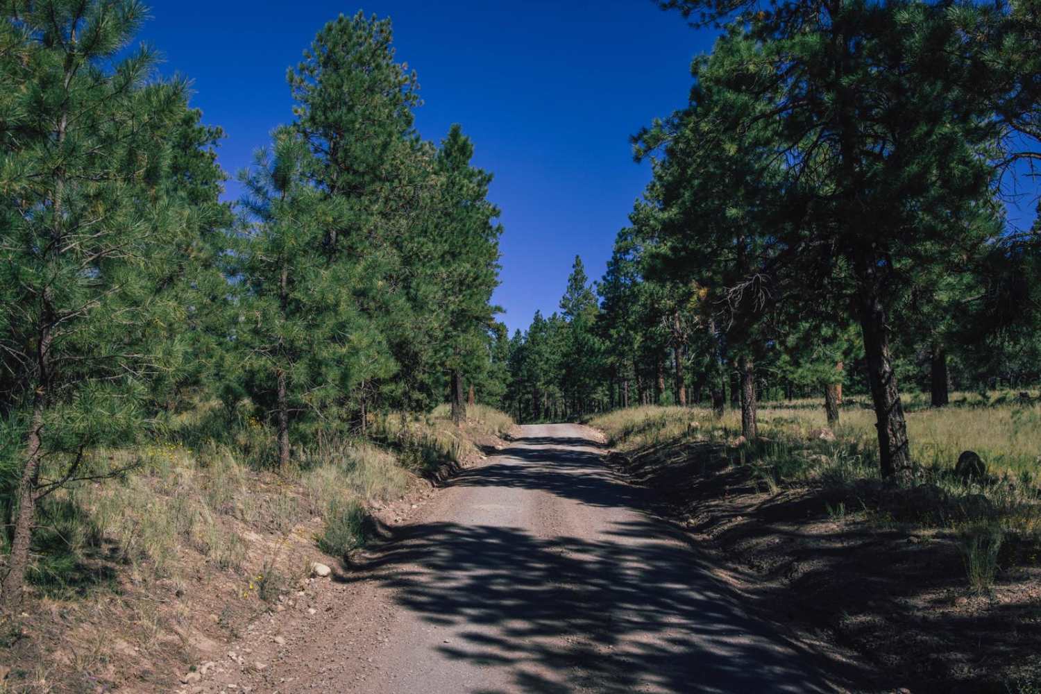 Schultz Pass